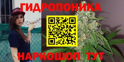 дмт Жуковский