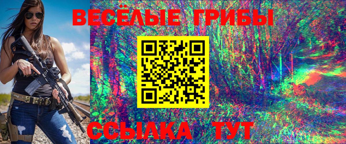 Галлюциногенные грибы Magic Shrooms  как найти закладки  Кузнецк  Псилоцибиновые грибы Psilocybine cubensis  Вход с VPN 