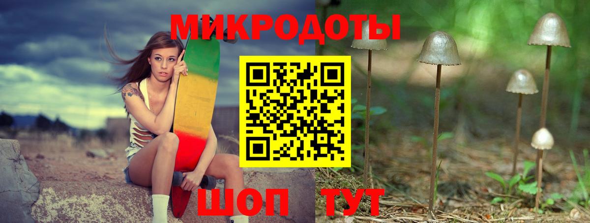 Галлюциногенные грибы мухоморы Кузнецк